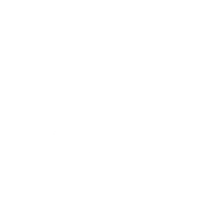 Pferd, Hund und Katze